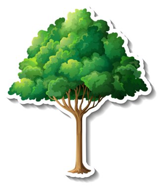 Beyaz arkaplan illüstrasyonunda ağaç etiketi