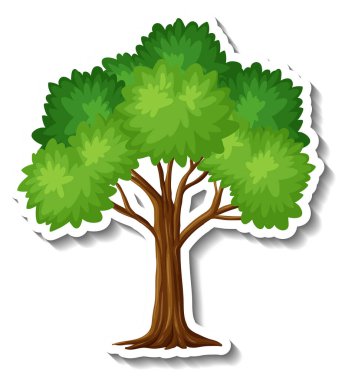 Beyaz arkaplan illüstrasyonunda ağaç etiketi