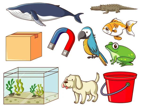 Conjunto Varios Animales Objetos Ilustración — Vector de stock