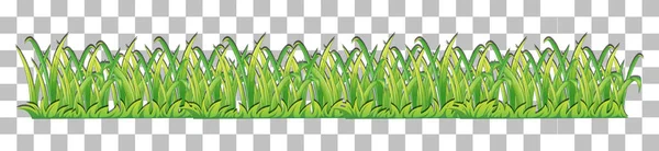 装飾イラストのための透明な背景の草や植物 — ストックベクタ