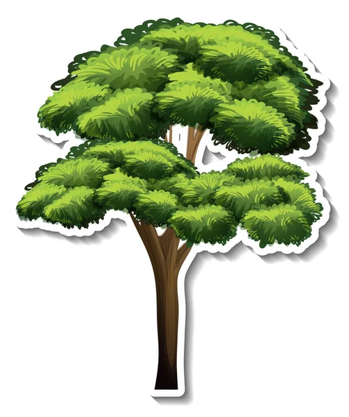 Baum Aufkleber Auf Weißem Hintergrund Illustration — Stockvektor