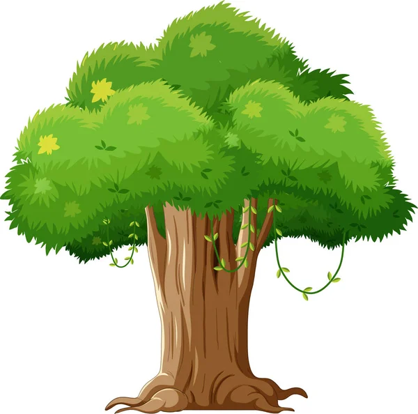 Árvore Isolada Sobre Fundo Branco Ilustração —  Vetores de Stock