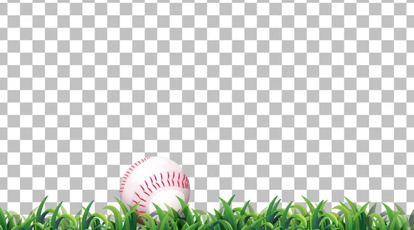 Honkbal Het Grasveld Transparante Achtergrond Illustratie — Stockvector