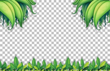 Saydam arkaplan illüstrasyonunda çeşitli tropikal yapraklar