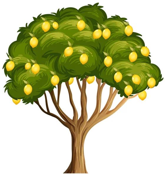 白を基調としたレモンの木イラスト — ストックベクタ