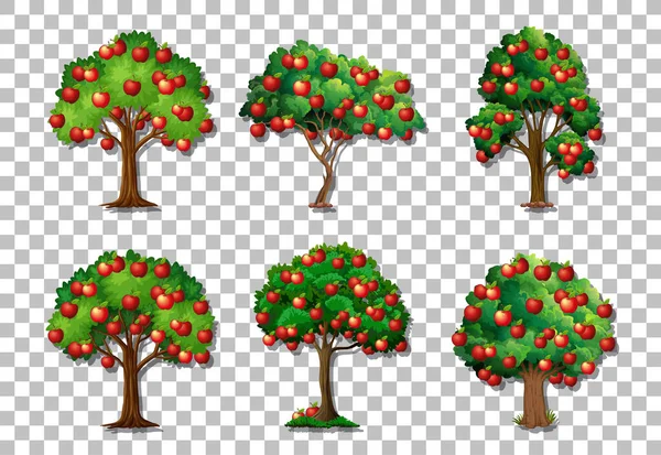 Set Variety Apple Trees Transparent Background Illustration — Stock Vector