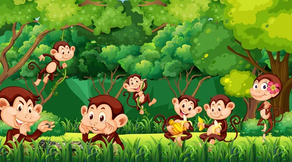 Cena Floresta Com Engraçado Macacos Desenho Animado Ilustração — Vetor de Stock