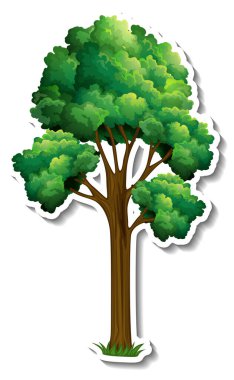 Beyaz arkaplan illüstrasyonunda ağaç etiketi