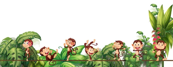 Diferentes Personagens Desenhos Animados Macaco Corda Com Ilustração Folha Tropical —  Vetores de Stock