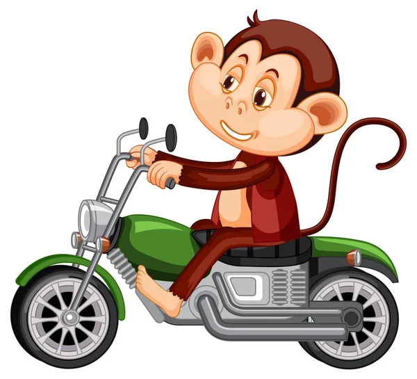 Little Monkey Riding Motorcycle White Background Illustration — Stock Vector