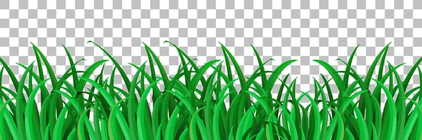 Grass Plants Transparent Background Decor Illustration — Stock Vector