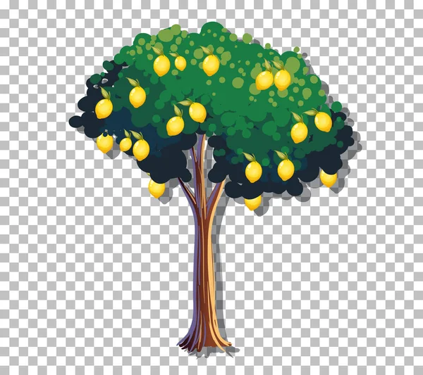 Zitronenbaum Auf Transparentem Hintergrund — Stockvektor