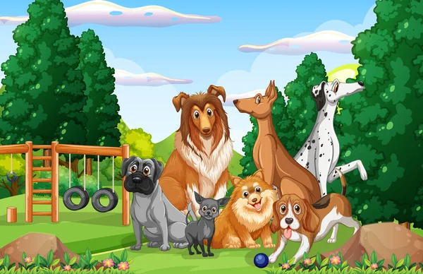 Park Příroda Scéna Mnoha Různými Psy Ilustrace — Stockový vektor