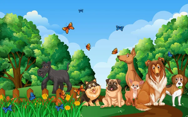 Cena Parque Com Diferentes Cães Ilustração — Vetor de Stock