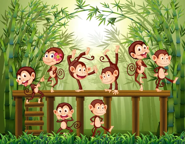 Pequenos Macacos Fundo Floresta Bambu Ilustração —  Vetores de Stock