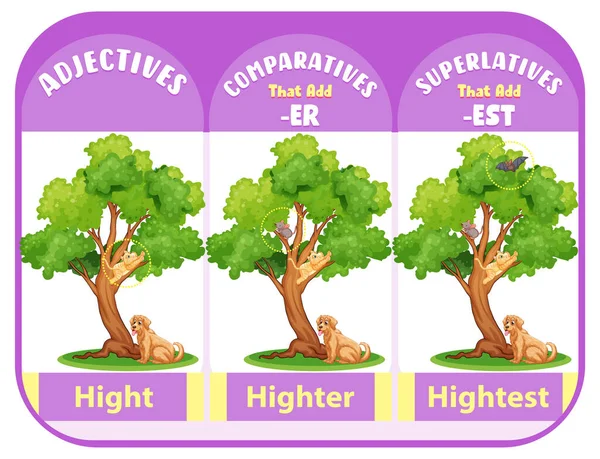 Comparatives Superlatives Word Hight Illustration — Stockvector