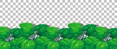 Doğa bitkileri şeffaf arkaplan çizimi