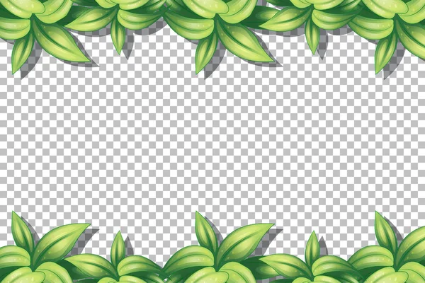 Natuur Planten Frame Transparante Achtergrond Illustratie — Stockvector