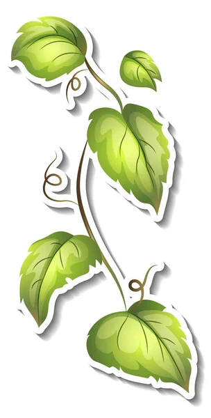 Stiker Daun Tropis Pada Ilustrasi Latar Belakang Putih - Stok Vektor