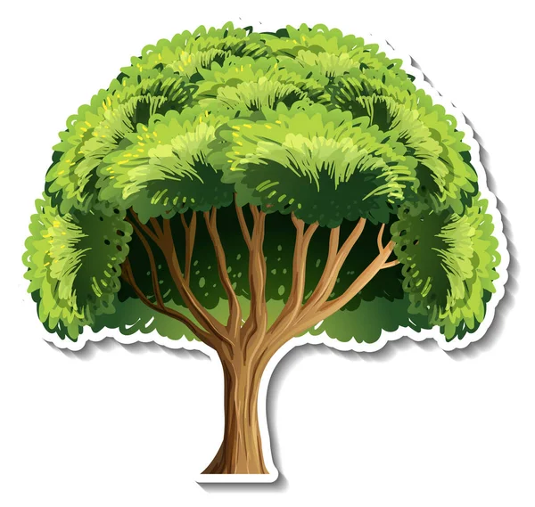 Träd Klistermärke Vit Bakgrund Illustration — Stock vektor