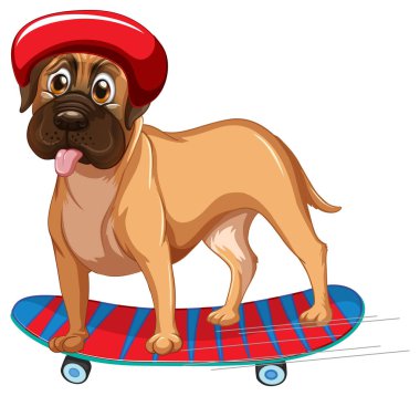 Boxer dog wears helmet standing on skateboard illustration