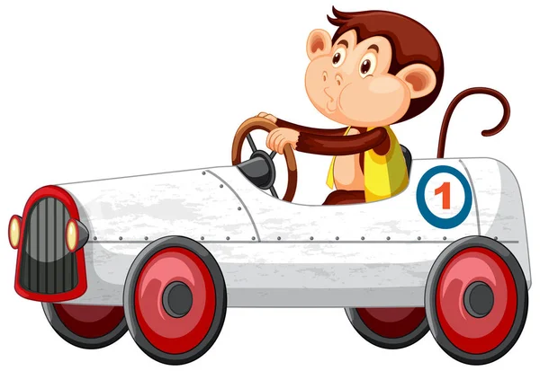 Macaco Dirigindo Carro Corrida Fundo Branco Ilustração —  Vetores de Stock