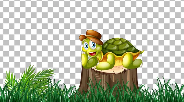 Turtle Grass Field Transparent Background Illustration — Stock Vector