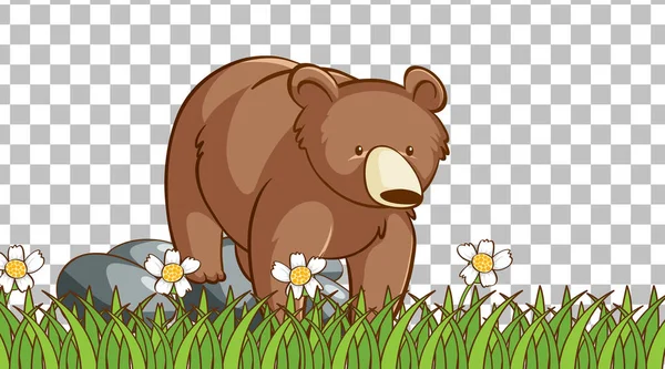 Orso Piedi Sul Campo Erba Sfondo Trasparente Illustrazione — Vettoriale Stock