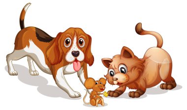 Beyaz arkaplanda köpek ve kedi çizgi filmi