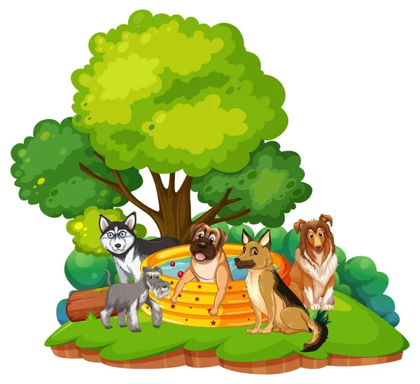 Viele Hunde Baden Garten Illustration — Stockvektor