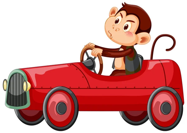 Pequeño Mono Conduciendo Coche Carreras Rojo Sobre Fondo Blanco Ilustración — Vector de stock