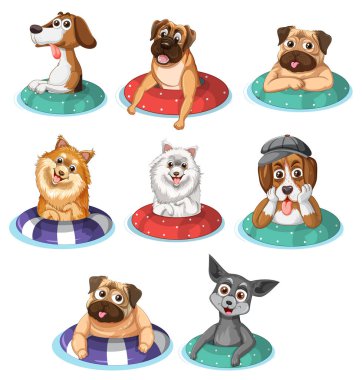 Yüzen halka çiziminde bir grup köpek