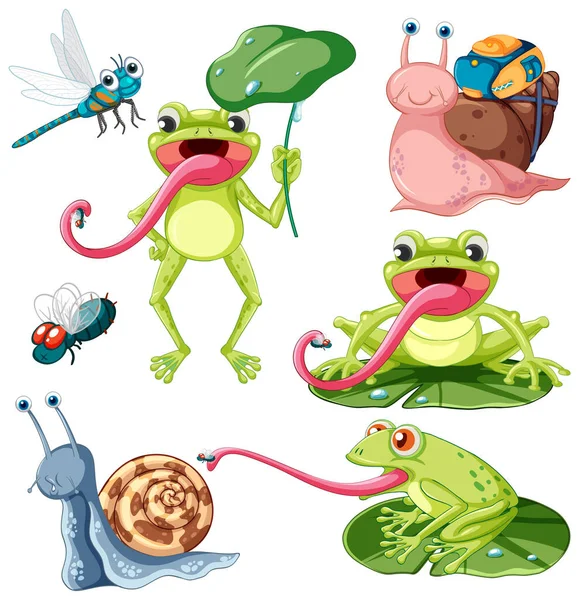 Set Different Invertebrate Animals Cartoon Style Illustration — Stock Vector