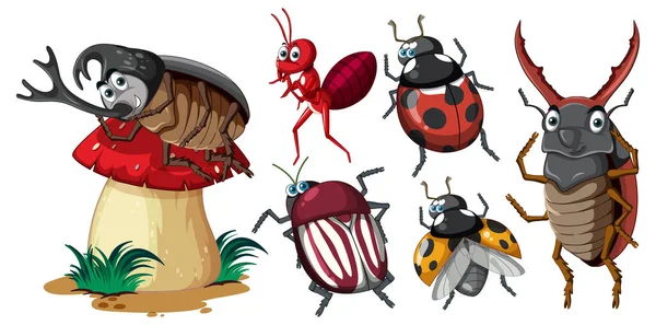 Ensemble Différents Insectes Coléoptères Dans Illustration Style Dessin Animé — Image vectorielle