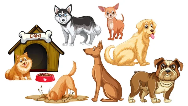 Çizgi film stili resimlerde farklı şirin köpekler.