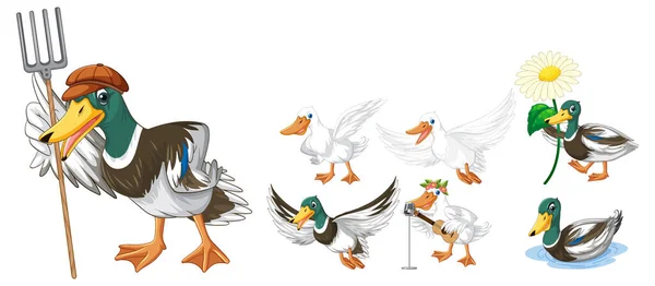 Set Von Verschiedenen Posen Von Enten Zeichentrickfiguren Illustration — Stockvektor