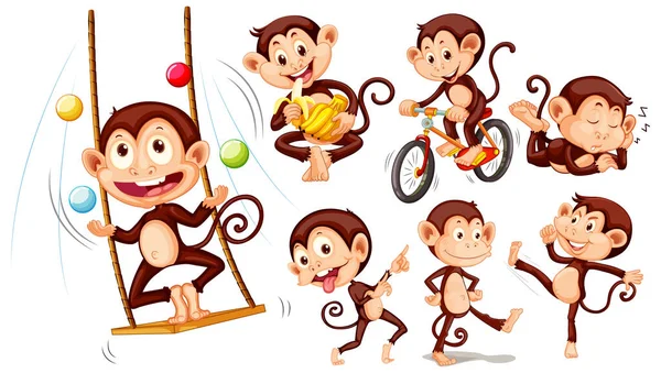 Set Different Poses Monkeys Cartoon Characters Illustration — Stock Vector