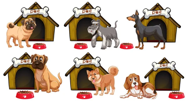 Çizgi Film Stili Resimlerde Farklı Şirin Köpekler — Stok Vektör