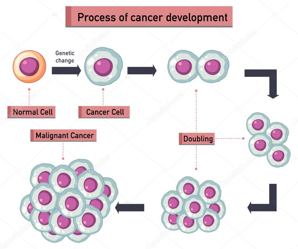 Process of cancer development infographic illustration