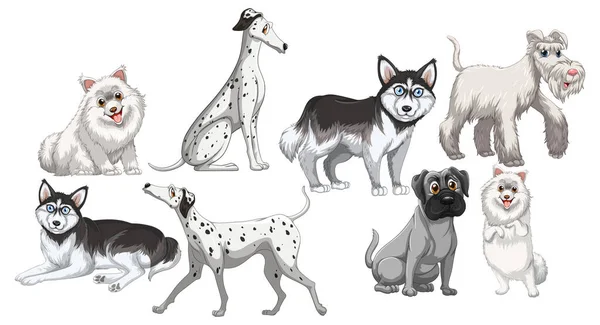 Set Perros Blancos Diferentes Razas Sobre Fondo Blanco Ilustración — Archivo Imágenes Vectoriales