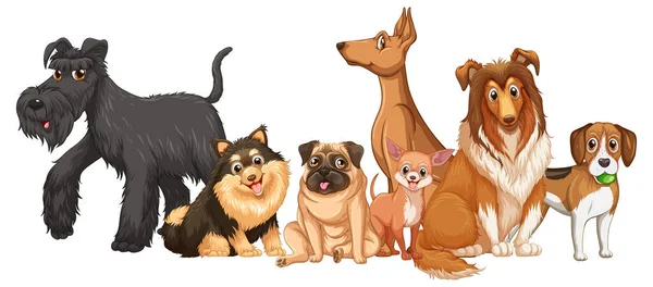 Group Dog Breeds White Background Illustration — Stock Vector