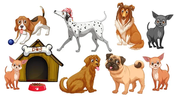 Différentes Races Chiens Dans Illustration Style Dessin Animé — Image vectorielle