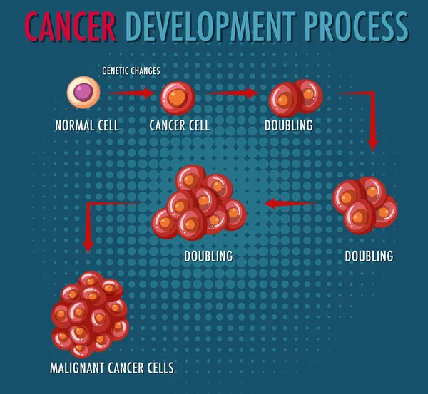 Infografická Ilustrace Procesu Vývoje Rakoviny — Stockový vektor