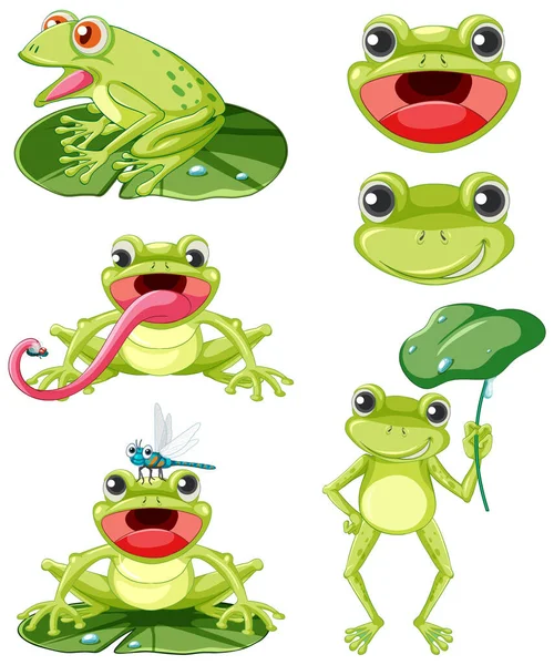 Set Different Frogs Cartoon Style Illustration — Stock Vector