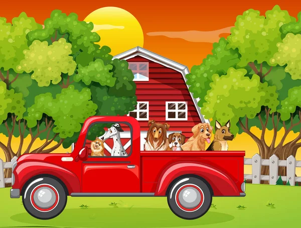農場のイラストで赤いトラックに乗っている多くの犬 — ストックベクタ