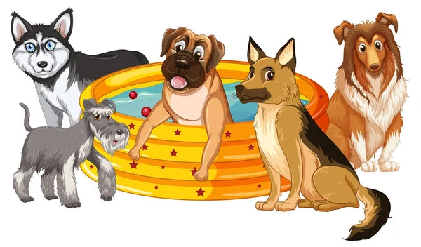 Cinq Chiens Jouant Près Piscine Illustration — Image vectorielle