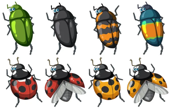 Conjunto Diferentes Insectos Escarabajos Ilustración Estilo Dibujos Animados — Vector de stock