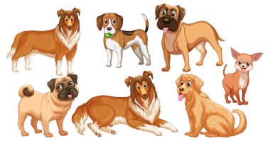 Çizgi film stili resimlerde farklı şirin köpekler.