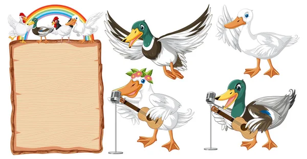 Set Von Verschiedenen Posen Von Enten Zeichentrickfiguren Illustration — Stockvektor