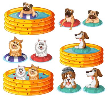 Plastik yüzme havuzunda şirin köpek yavruları partisi